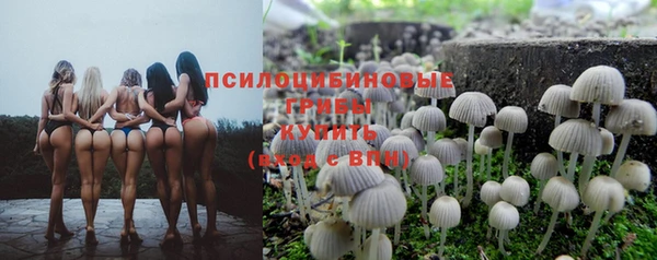 твердый Осташков
