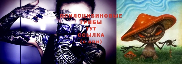 твердый Осташков